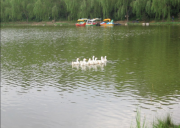 銀川萬義生態園拓展基地