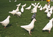 南通海門快活林休閑山莊拓展訓練基地