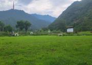 浙江三角洲拓展基地