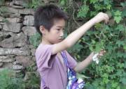 2023“四珍草廬”百草7天夏令營（河南洛陽）