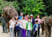 2023西雙版納秘境奇遇6天親子夏令營