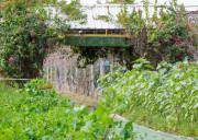 泉州田野風勞動教育實踐基地