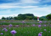 浙江仙人居生態休閑基地