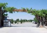 甘肅條山農莊拓展基地