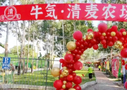 佛山禪城上元清麥農場基地