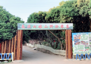 深圳南澳七娘山野炊農莊基地