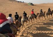 山西“生命能量”沙漠親子5天夏令營