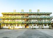 惠州軍事體驗7天夏令營