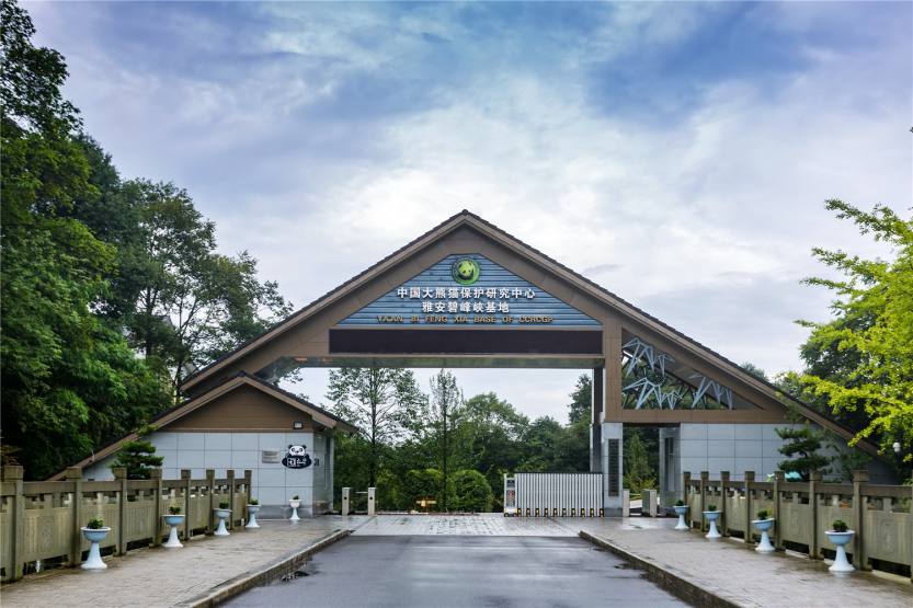 16147d1cf05defdcac1a7ddcf9198dce