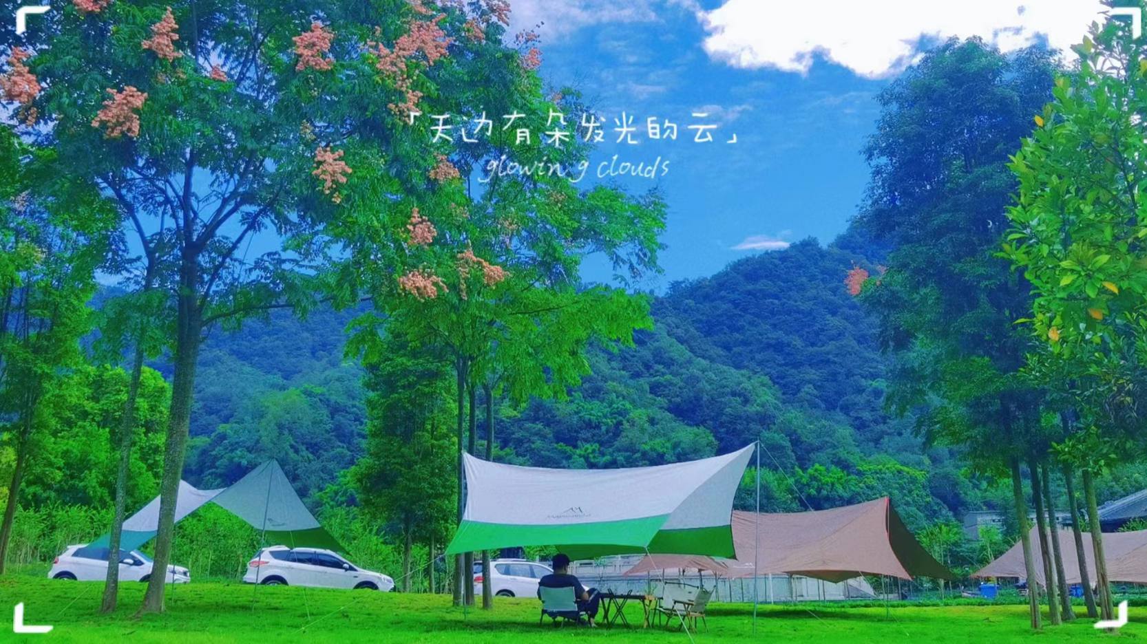 d4b733b284dc4a4a76d2902df4d3d44f