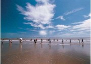 舟山岱山島鹿欄晴沙拓展基地