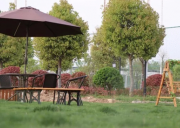 宿州藝海莊園拓展訓練基地