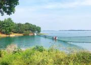 荊門觀音島團建拓展基地