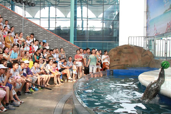 中學生夏令營去青島多少錢