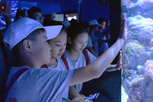 鄭州上海夏令營費用多少錢