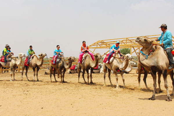 寧夏銀川的小學生夏令營有哪些
