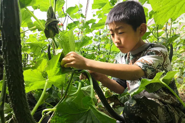 兒童特色夏令營