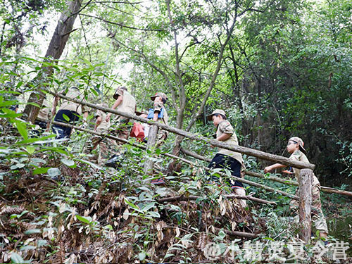 夏令營活動項目有哪些？