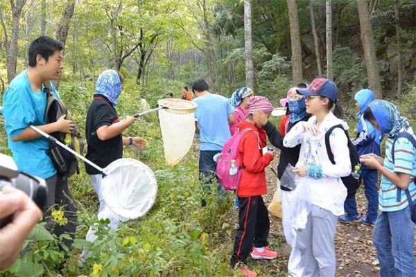 無錫夏令營7天一般收費多少