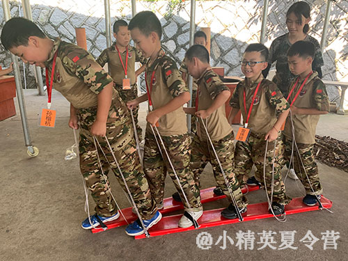 夏令營活動項目有哪些？