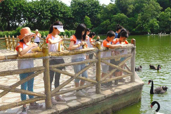 廣州夏令營前10名