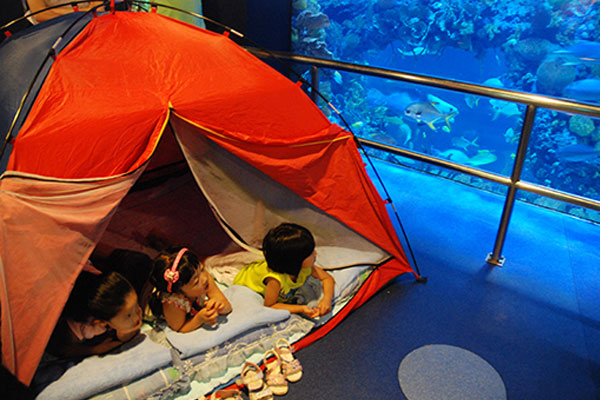 青島小學生夏令營一般多少錢