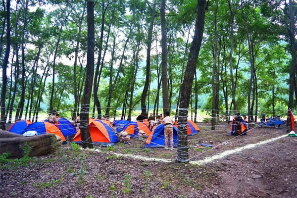 哈爾濱夏令營有幾家