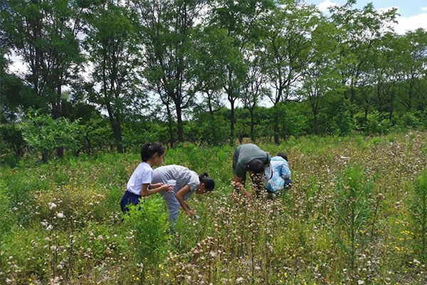 眉山兒童夏令營