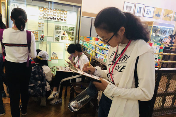 北京英語游學夏令營