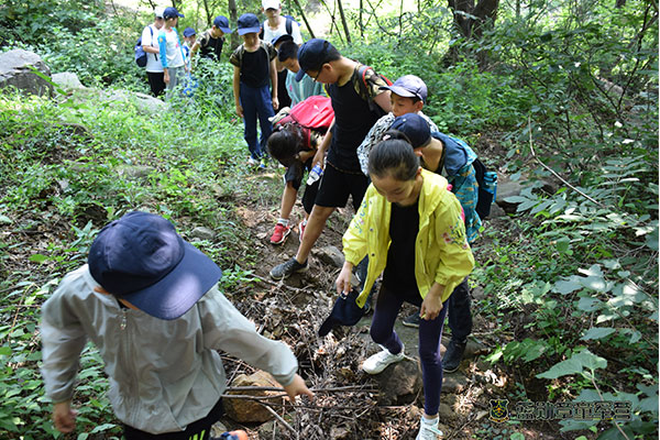 野外夏令營一周多少元
