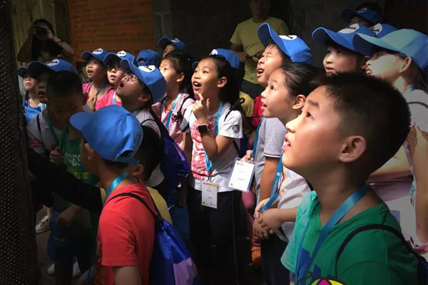 北京小學生游學夏令營