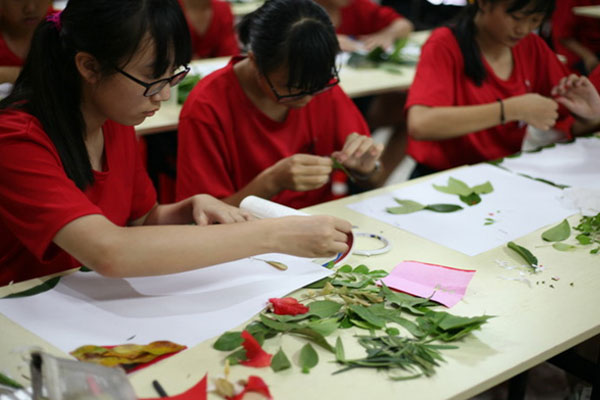 高中生的夏令營活動
