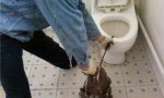 天津馬桶堵塞疏通多少錢